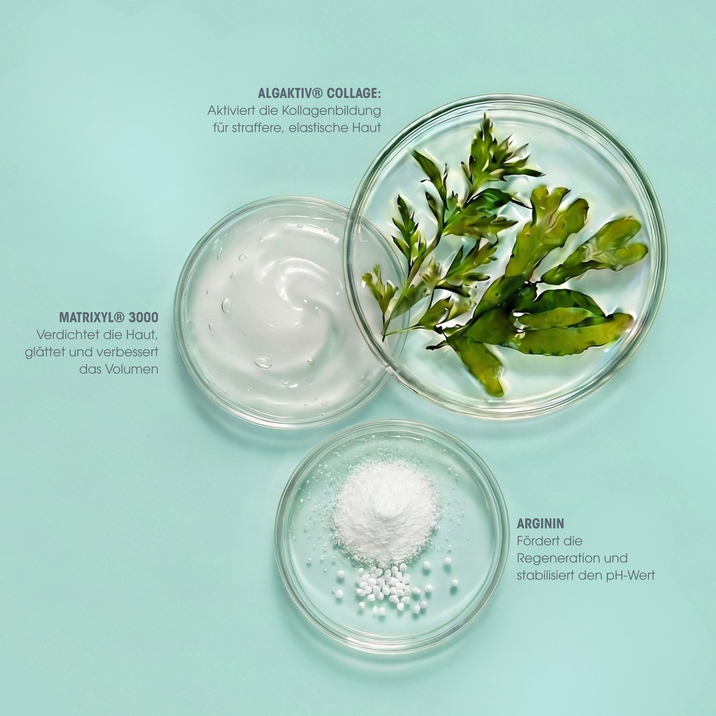 Collagen Vegan Peptide Vliesmasken-Set