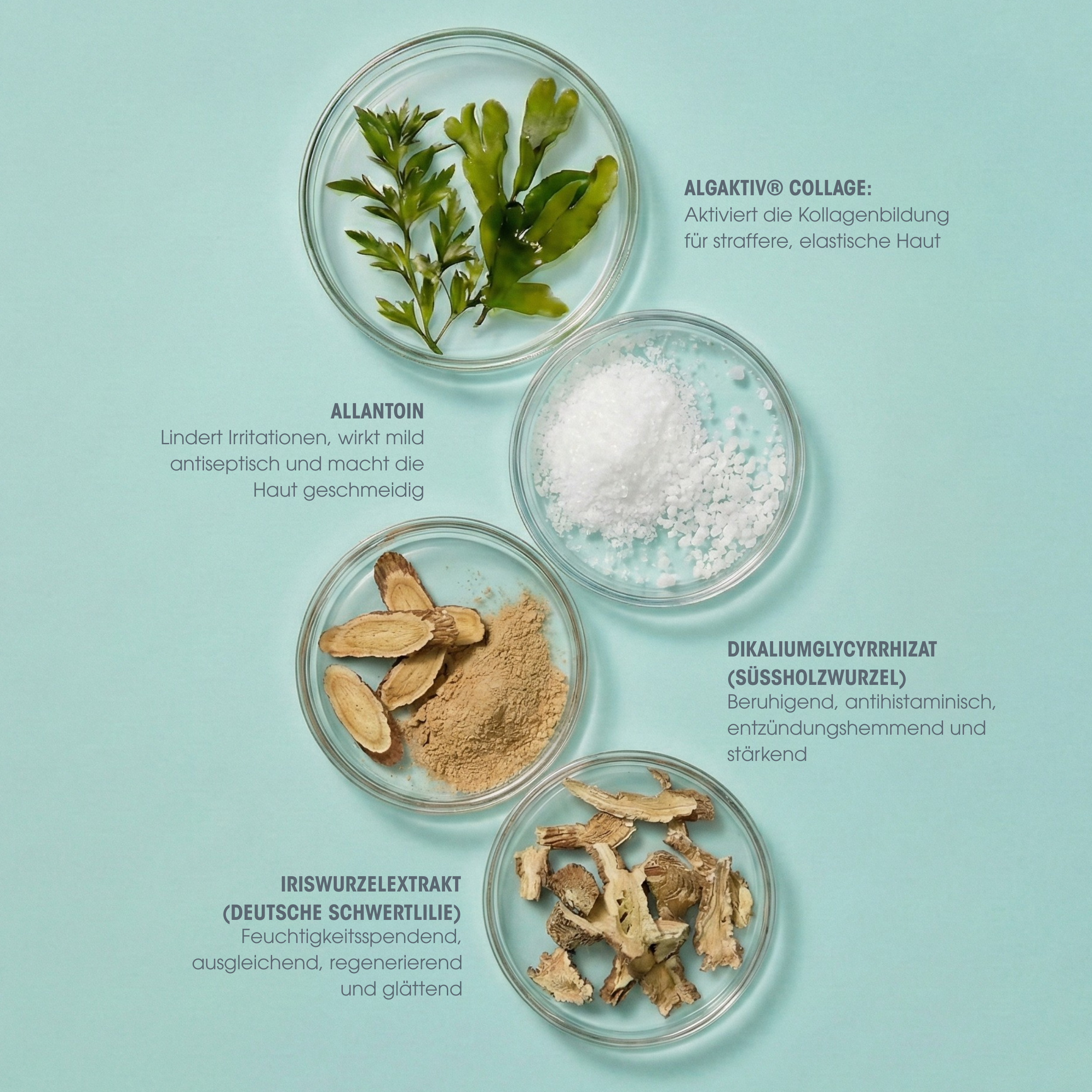 Collagen Vegan Cleansing Milk