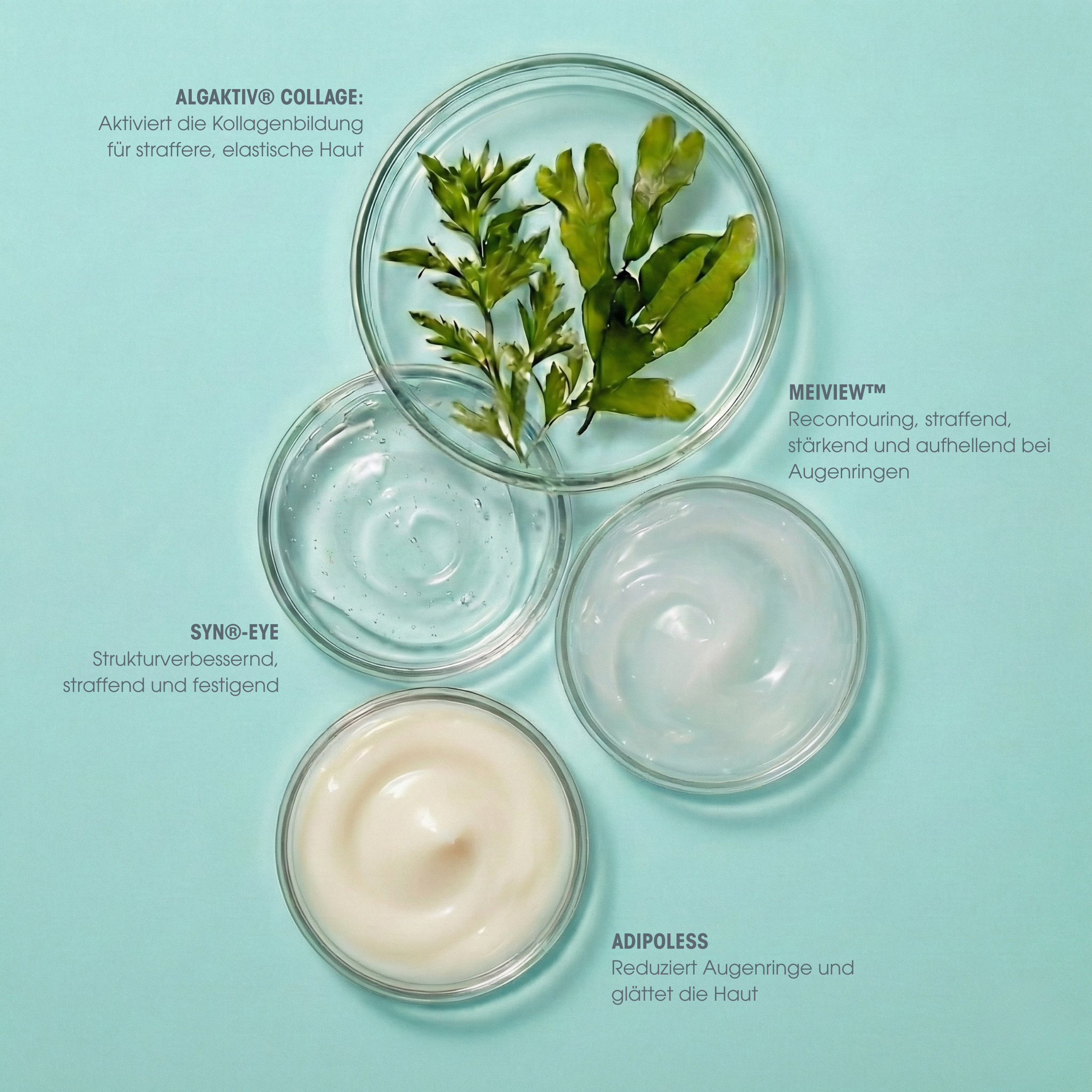 Collagen Vegan Peptide Augencreme