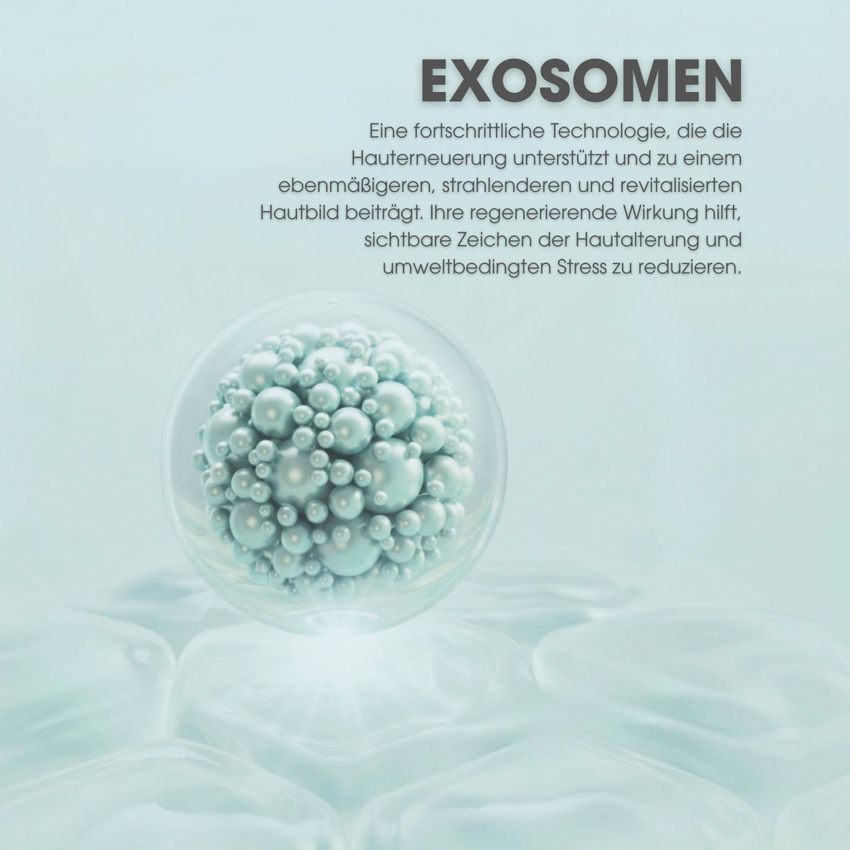 Collagen Vegan Peptides Day & Night Serum