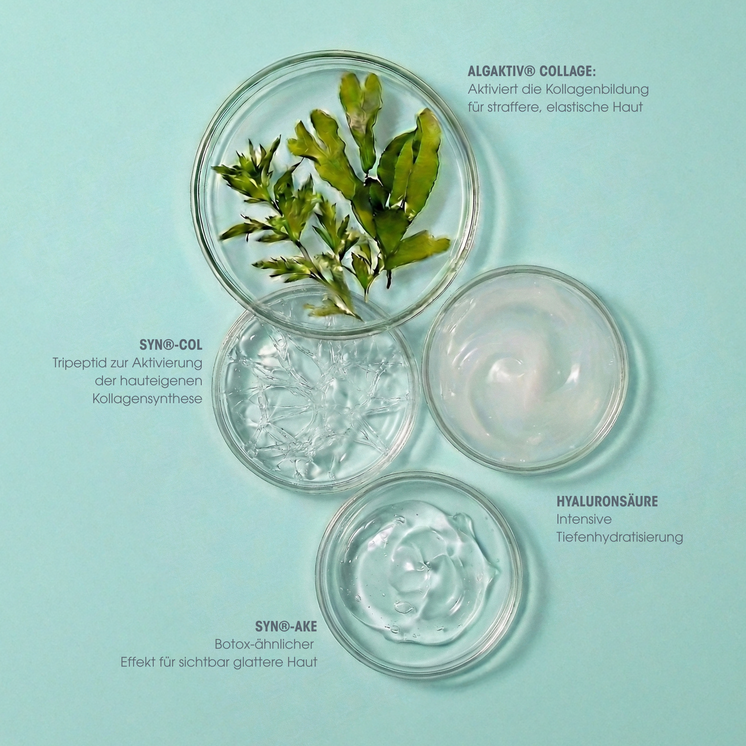 Collagen Vegan Peptide Tag & Nacht Serum