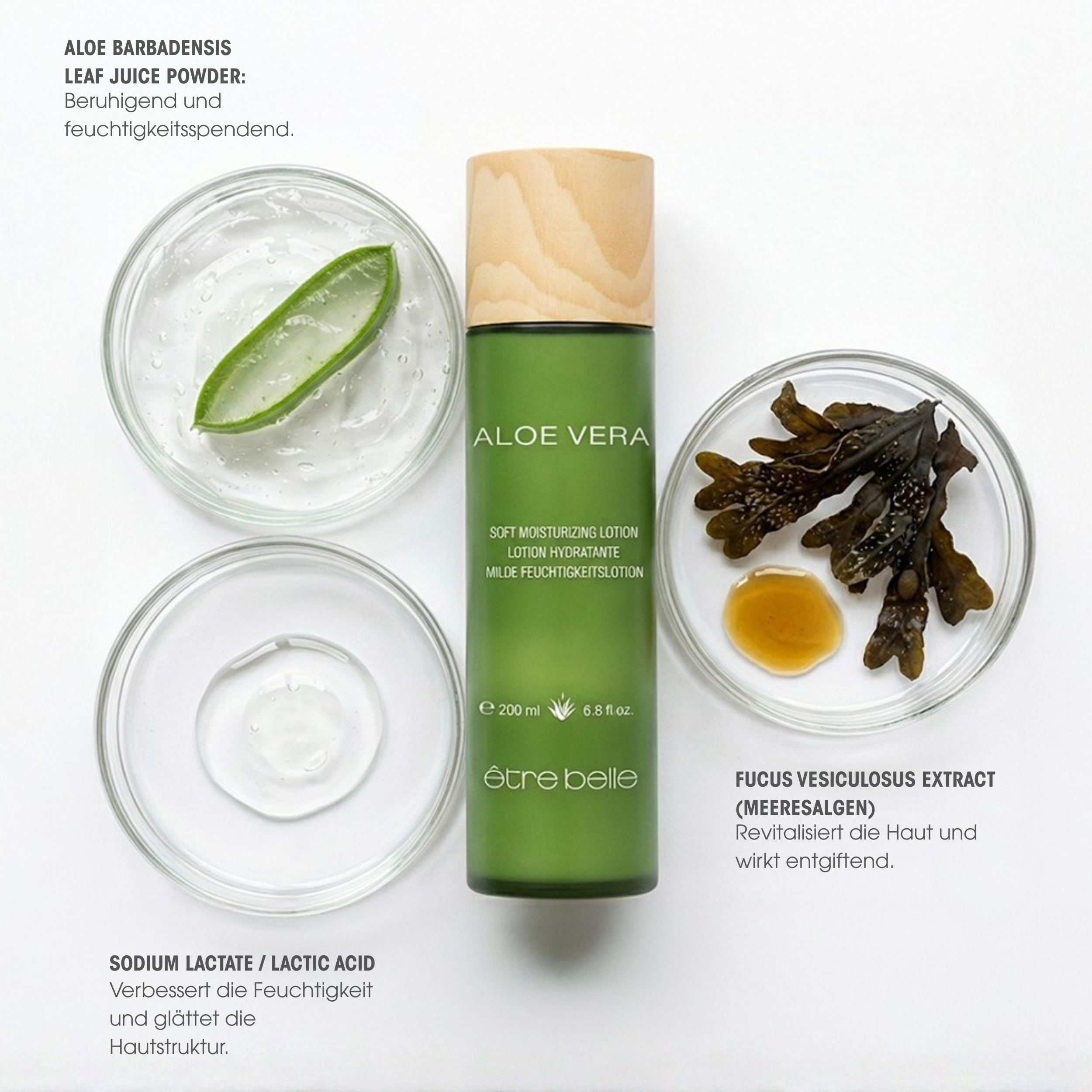 Aloe Vera Soft Moisturizing Lotion