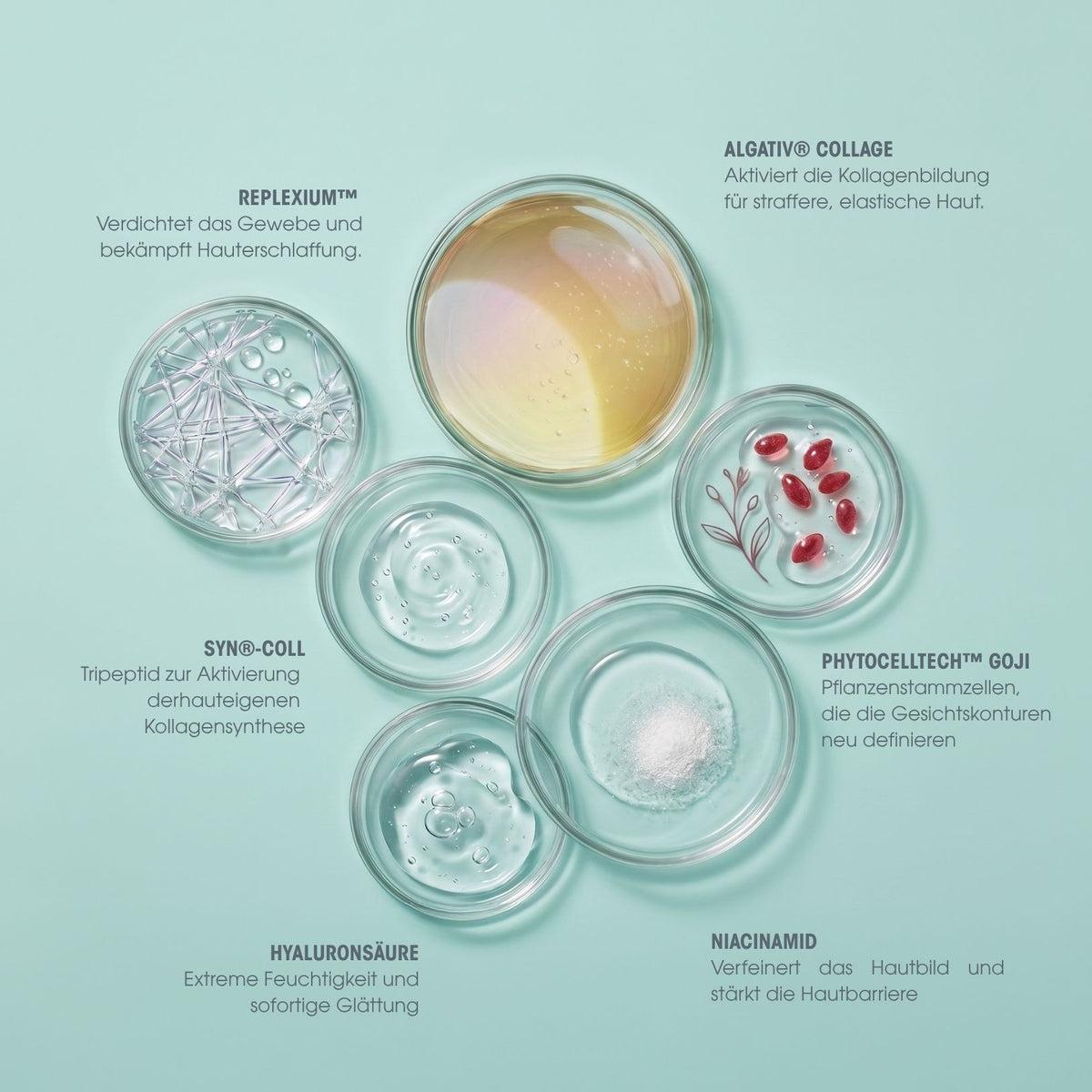Collagen Vegan Peptides Day & Night Serum