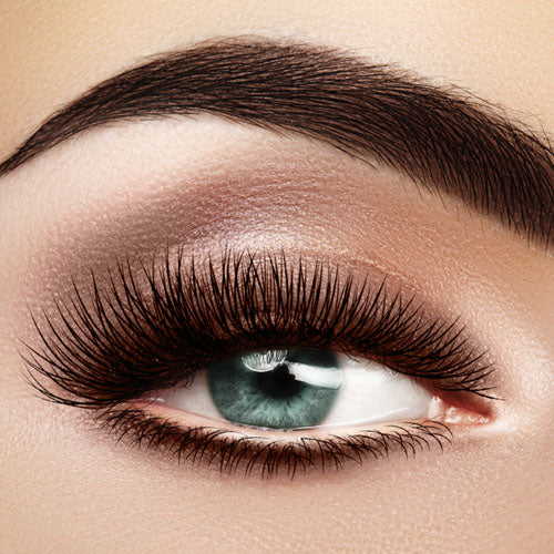 Eye Sensation Eyeshadow