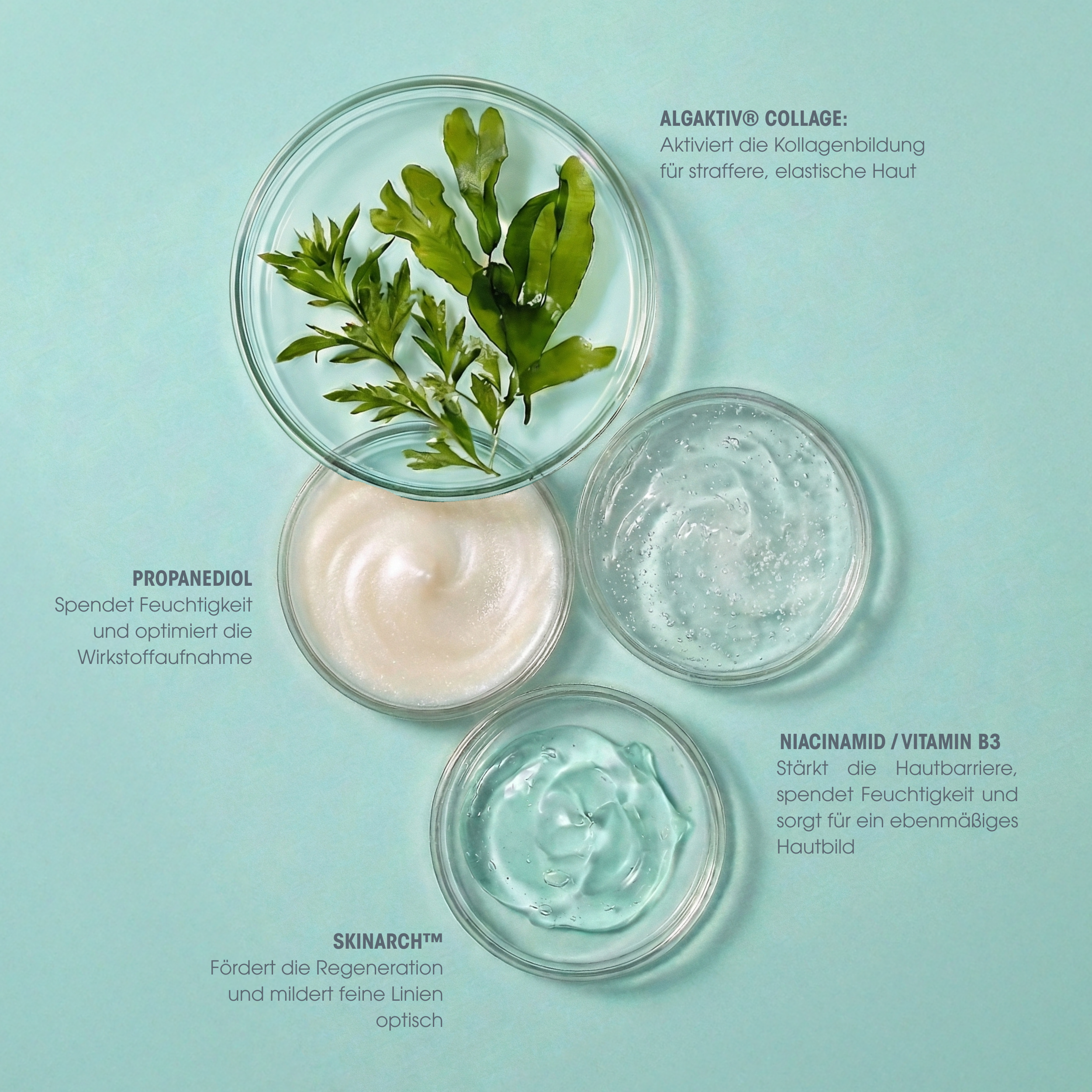 Collagen Vegan Peptide Moisturizing Lotion