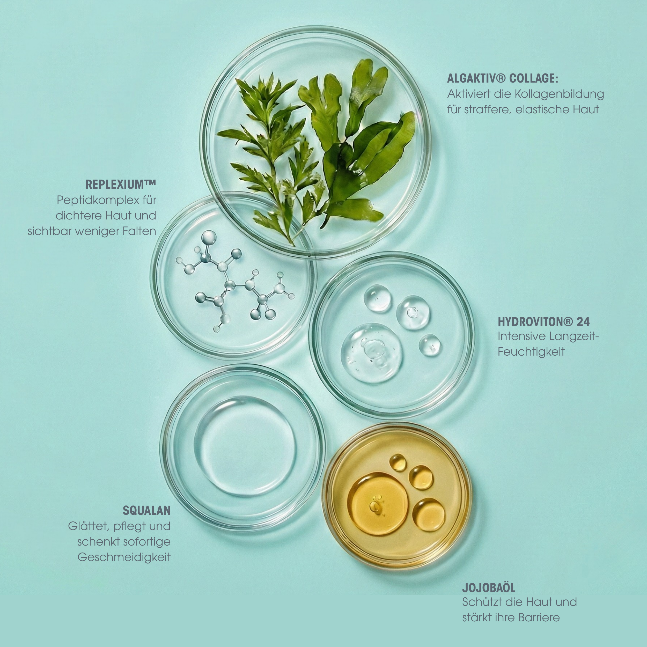 Collagen Vegan Peptide Tagescreme