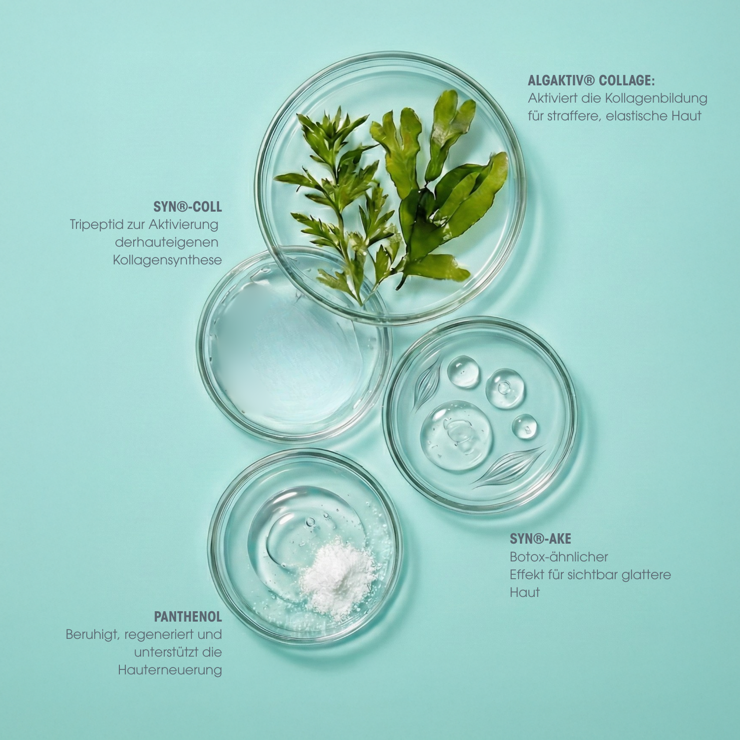 Collagen Vegan Peptide Nachtcreme