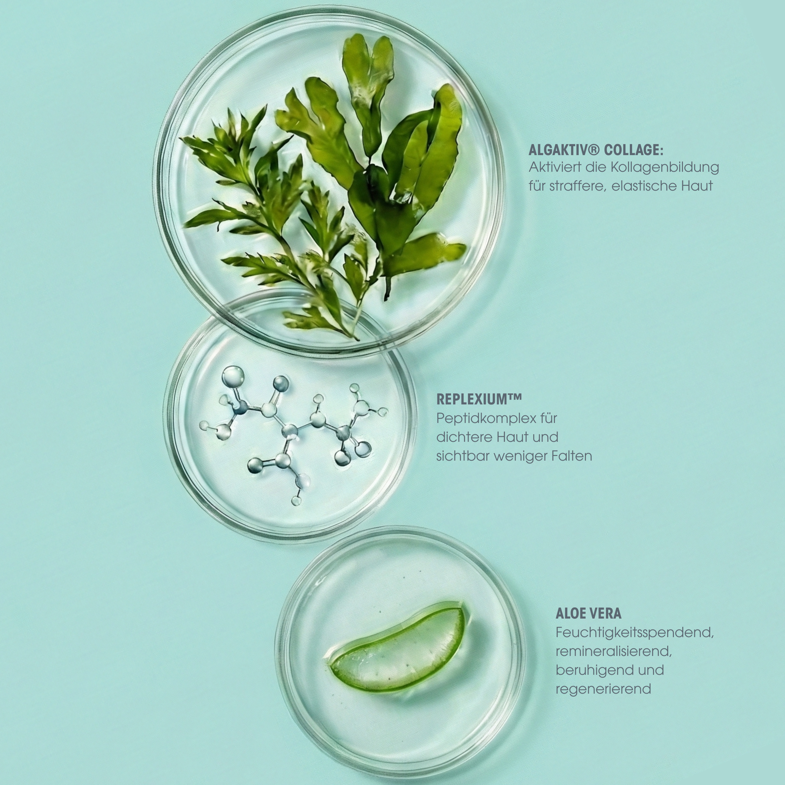 Collagen Vegan Peptide Creme-Maske