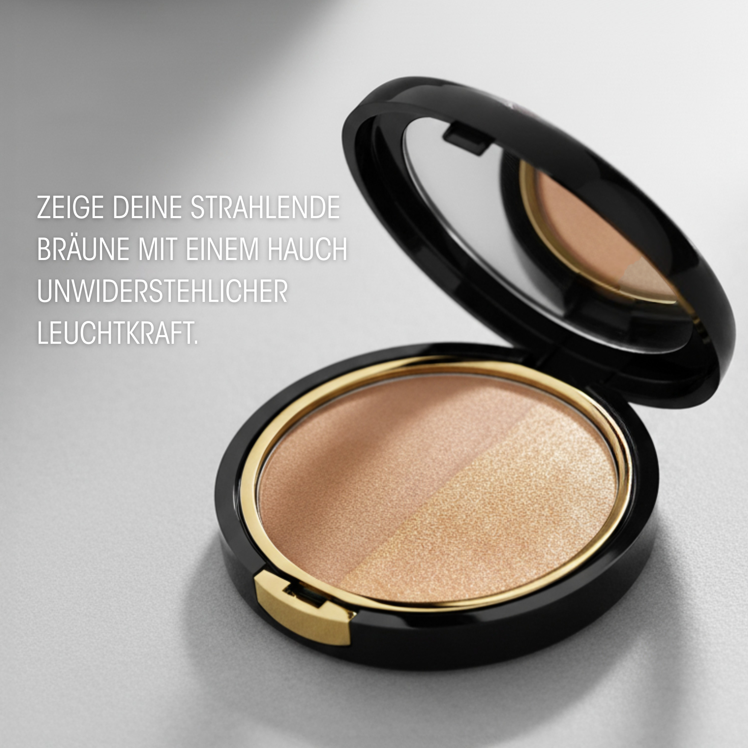 Shiny Bronzing Powder