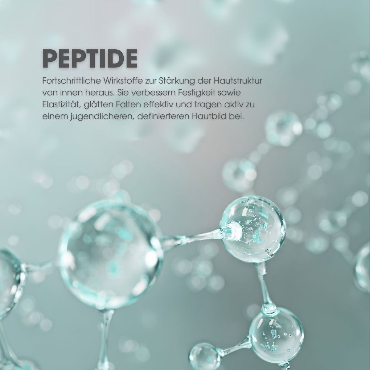 Collagen Vegan Peptides Day & Night Serum