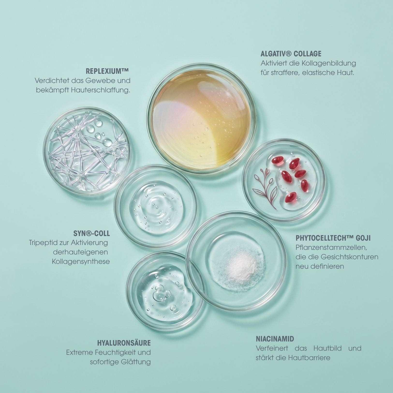 Collagen Vegan Peptides Day & Night Serum